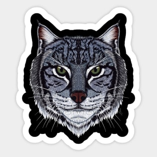 Wildcat Sticker